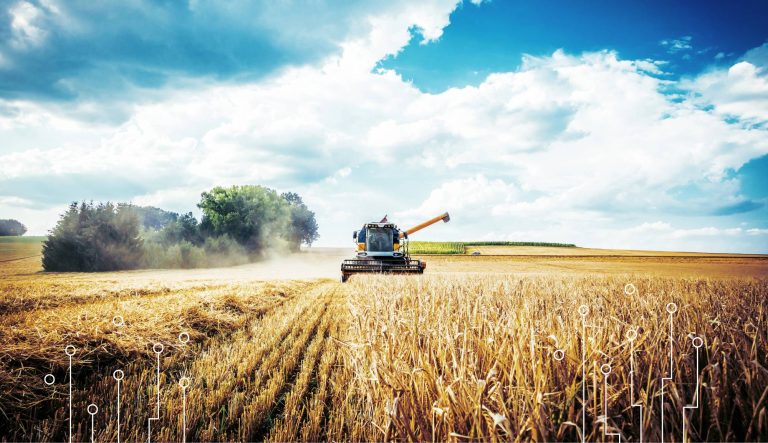 błękitne niebo i pole uprawne, kombajn kosi zboże, usługi rolnicze